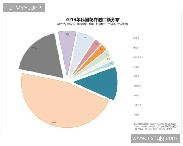 独家分析：武汉排球队的实力对比