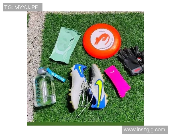 从零开始：飞盘战术完全攻略